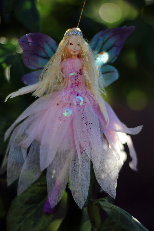 dreamland fairy